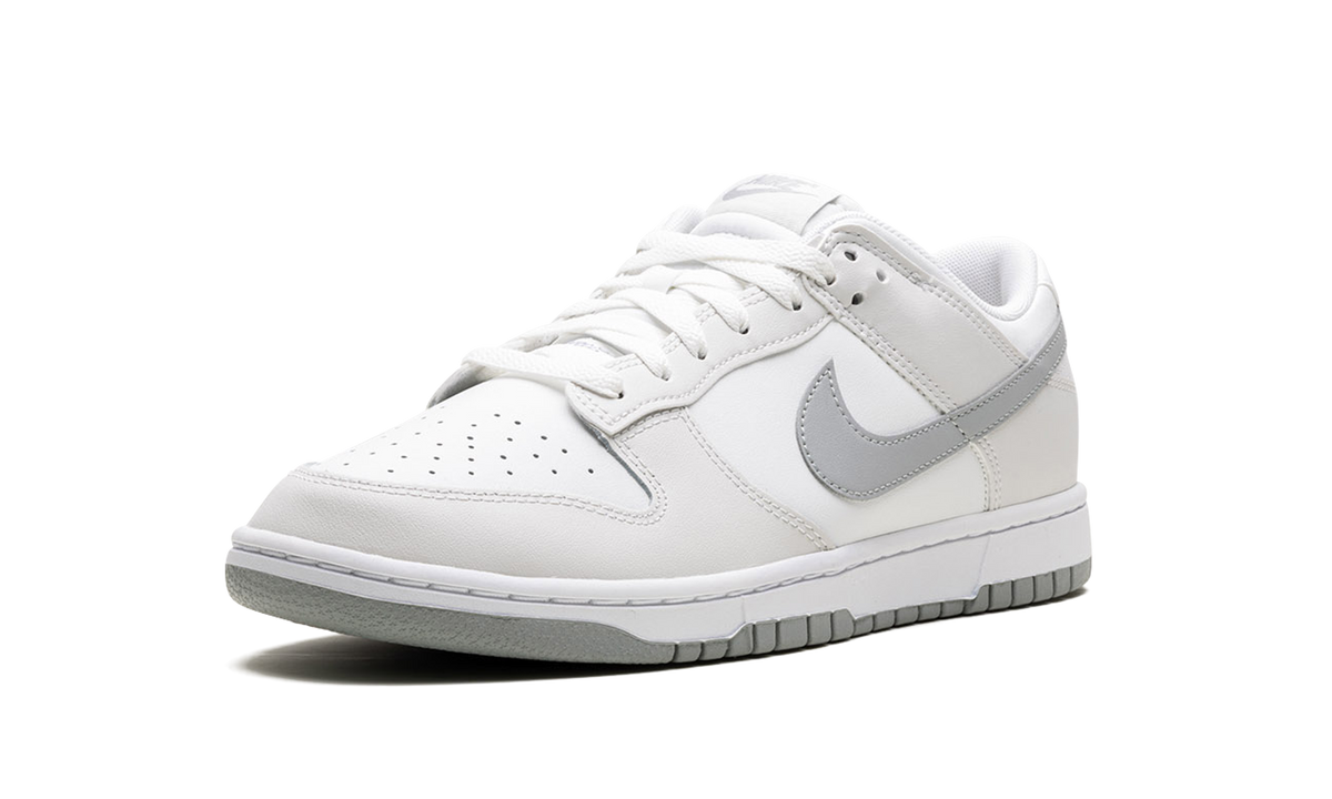 Nike Dunk Low Retro "Summit White Light Smoke Grey" DV0831 106