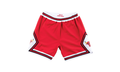 Mitchell & Ness NBA AUTHENTIC ROAD SHORTS BULLS 75-76 "BULLS" ASHRGS18036 CBUSCAR75