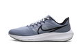 Nike Air Zoom Pegasus 39 "Ashen Slate / Black" DH4071 401