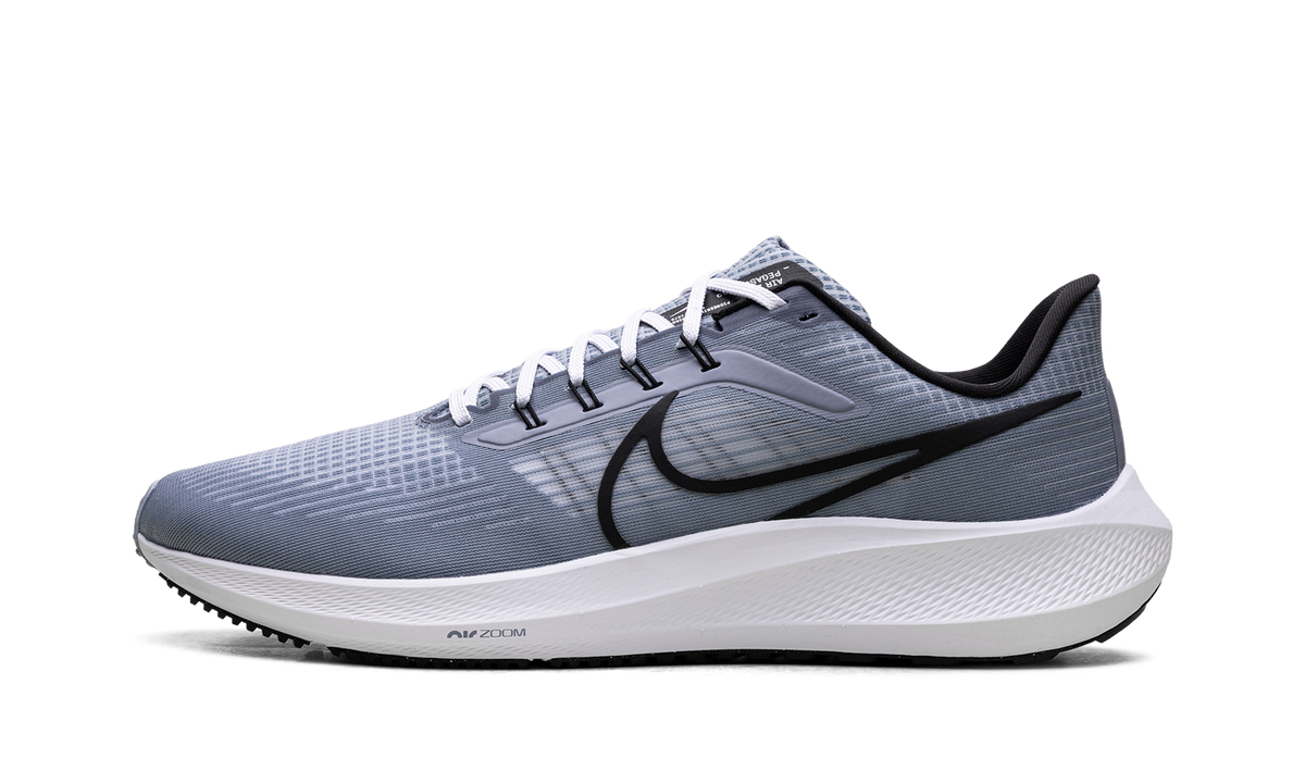 Nike Air Zoom Pegasus 39 "Ashen Slate / Black" DH4071 401