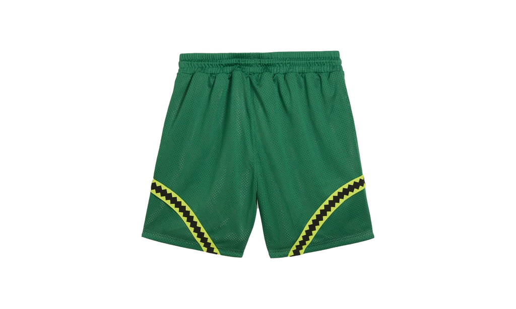 Puma HOOPS X TMNT SHORT "Green" 630931 01