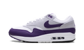 Nike Air Max 1 SC "Field Purple" DZ4549 101