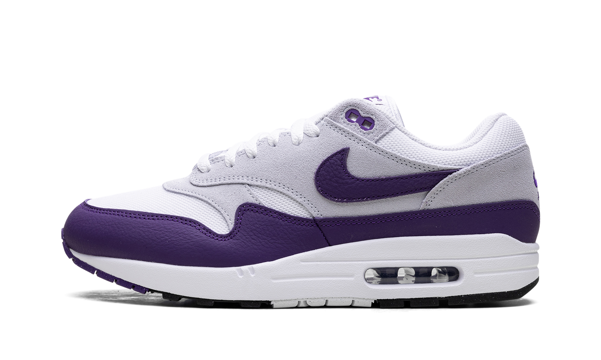 Nike Air Max 1 SC "Field Purple" DZ4549 101